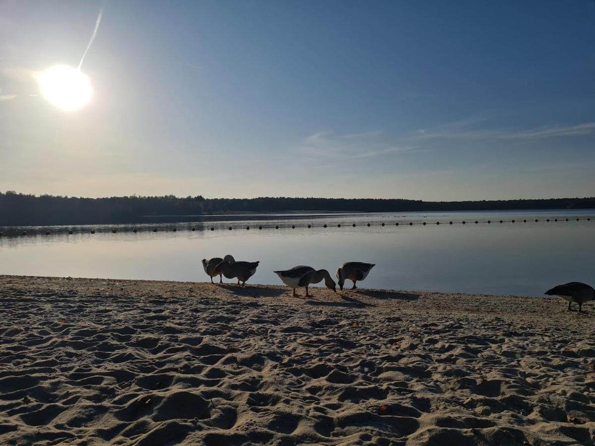 مبيت وإفطار Neerpelt La Rose المظهر الخارجي الصورة