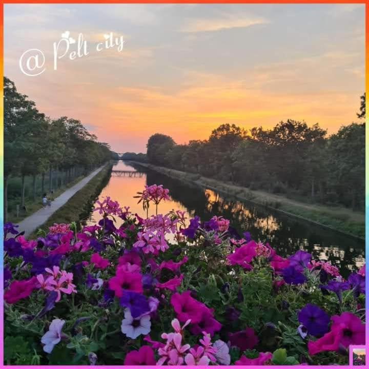 مبيت وإفطار Neerpelt La Rose المظهر الخارجي الصورة