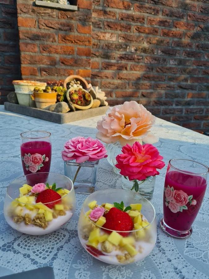 مبيت وإفطار Neerpelt La Rose المظهر الخارجي الصورة