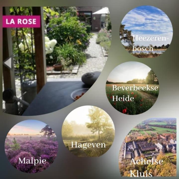 مبيت وإفطار Neerpelt La Rose المظهر الخارجي الصورة