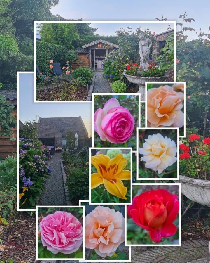 مبيت وإفطار Neerpelt La Rose المظهر الخارجي الصورة